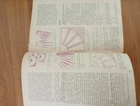 Лот: 25210549. Фото: 6. Книга - "Женская одежда в деталях...