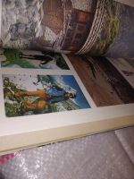 Лот: 17283264. Фото: 4. Кононов Ю. В. Страна субтропиков...