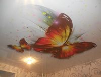 Лот: 3815163. Фото: 14. натяжные потолки. шкафы-купе...