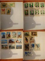 Лот: 10329579. Фото: 3. Спичечные этикетки. Коллекционирование, моделизм