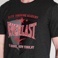 Лот: 16234857. Фото: 2. Мужская футболка от Everlast в... Мужская одежда