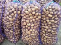 Лот: 23911332. Фото: 2. Картофель. Продукты