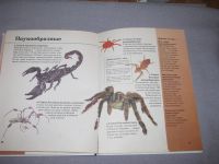 Лот: 15569208. Фото: 3. большая книга 28*22 см энциклопедия... Литература, книги