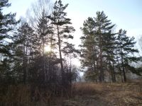 Лот: 5257764. Фото: 2. Земля станция Минино 22 сотки... Продажа