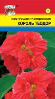 Лот: 12955494. Фото: 2. Семена настурции низкорослой... Семена, рассада, садовые растения