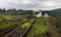 Лот: 6916521. Фото: 5. Участок с баней в Нанжуль-Солнечном...