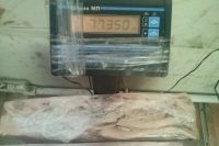 Лот: 6951946. Фото: 2. сало шпик без шкуры в брикентах... Продукты