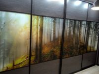 Лот: 6844195. Фото: 2. Шкаф Волшебный лес. Хранение вещей