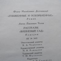 Лот: 25651256. Фото: 10. Книга Достоевский; Чехов. Серия...