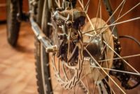 Лот: 6255356. Фото: 2. Велосипед Forward Favorit sport... Велоспорт