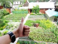 Лот: 7922473. Фото: 7. Фазенда - комфортабельная дача