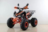Лот: 25364861. Фото: 2. Квадроцикл MOTAX ATV T-Rex Super... Мототехника