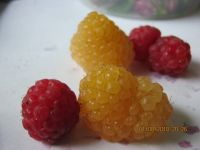 Лот: 16224709. Фото: 5. вишня войлочная ягода 1 литр