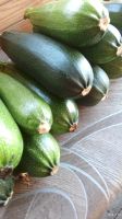 Лот: 14544520. Фото: 2. Кабачки свежие 5 кг. Продукты