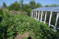 Лот: 6766586. Фото: 3. Продам летний дом 20 кв.м. на... Недвижимость