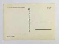 Лот: 23296601. Фото: 3. Собаки: Московский длинношерстный... Коллекционирование, моделизм