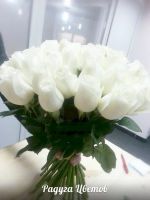 Лот: 6384450. Фото: 2. Белые розы от 65 рублей. Лот 51. Цветы, букеты
