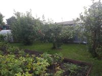 Лот: 10344280. Фото: 3. Дача около 1 КПП Железногорск. Недвижимость