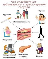 Лот: 20308711. Фото: 2. Целебный травяной фитосбор "Фитотерапия... Продукты