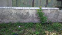 Лот: 14059612. Фото: 2. стеновые панели. Строительные материалы