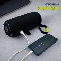 Лот: 25794880. Фото: 7. ПОРТАТИВНАЯ КОЛОНКА HOPESTAR P58...
