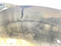 Лот: 25747919. Фото: 13. крыло Hyundai Solaris RB