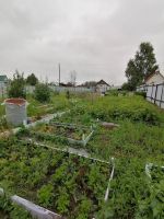 Лот: 17368154. Фото: 7. земельный участок дача