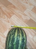 Лот: 20947583. Фото: 2. Кабачок 1. Продукты