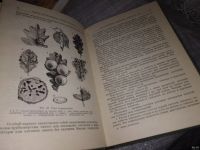 Лот: 16186149. Фото: 7. Падий Н.Н., Руднев Д.Ф., Рывкин...