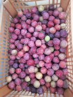 Лот: 19389920. Фото: 2. Слива садовая. Продукты