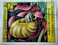 Лот: 12954833. Фото: 2. Марки Флора. Болгария. Цветы... Коллекционирование, моделизм