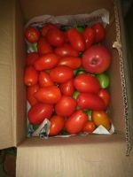 Лот: 7894262. Фото: 2. Помидоры Минусинские ведро 12... Продукты