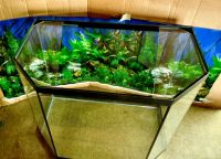 Лот: 6800828. Фото: 3. Аквариум панорама высокая 79л. Растения и животные