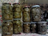 Лот: 2345080. Фото: 2. Грузди малышки эксклюзив. Продукты