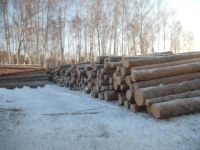 Лот: 16920433. Фото: 2. Лиственница Круглый лес (кругляк... Строительные материалы