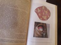 Лот: 16999555. Фото: 6. Эпизоотология с микробиологией...