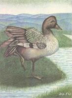 Лот: 15418513. Фото: 19. Константиновский Майлен - КОАПП...