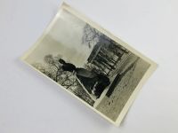 Лот: 23296968. Фото: 2. Ленинград. Памятник Н.М. Пржевальскому... Открытки, билеты и др.
