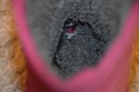 Лот: 8461288. Фото: 6. Сапоги "Куома"