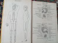 Лот: 19817732. Фото: 3. Дубровские Практическое пособие... Литература, книги