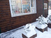 Лот: 15645571. Фото: 2. дом и магазин. Продажа