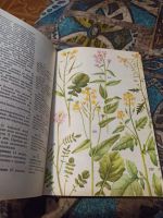 Лот: 20291744. Фото: 3. В. С. Новиков, И. А. Губанов... Коллекционирование, моделизм