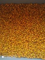Лот: 16397796. Фото: 2. Облепиха. Продукты