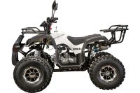 Лот: 25774836. Фото: 4. Квадроцикл YACOTA Kids 8 LD. Красноярск