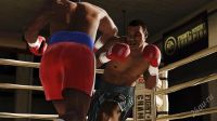 Лот: 1532016. Фото: 2. FIGHT NIGHT CHAMPION PS3. Игровые приставки, консоли, видеоигры