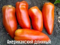 Лот: 4898896. Фото: 5. Томат Американский Длинный. Семена...