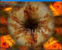 Лот: 19819336. Фото: 2. Palit GeForce GTX 1050 Ti KalmX. Комплектующие