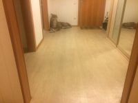 Лот: 8897074. Фото: 2. Линолеум под белёный дуб Таркет. Отделочные материалы