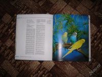 Лот: 38281. Фото: 2. Хорст Бильфельд, Волнистые попугаи