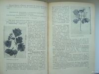 Лот: 9846871. Фото: 4. Фруентов Н.К. Лекарственные растения... Красноярск